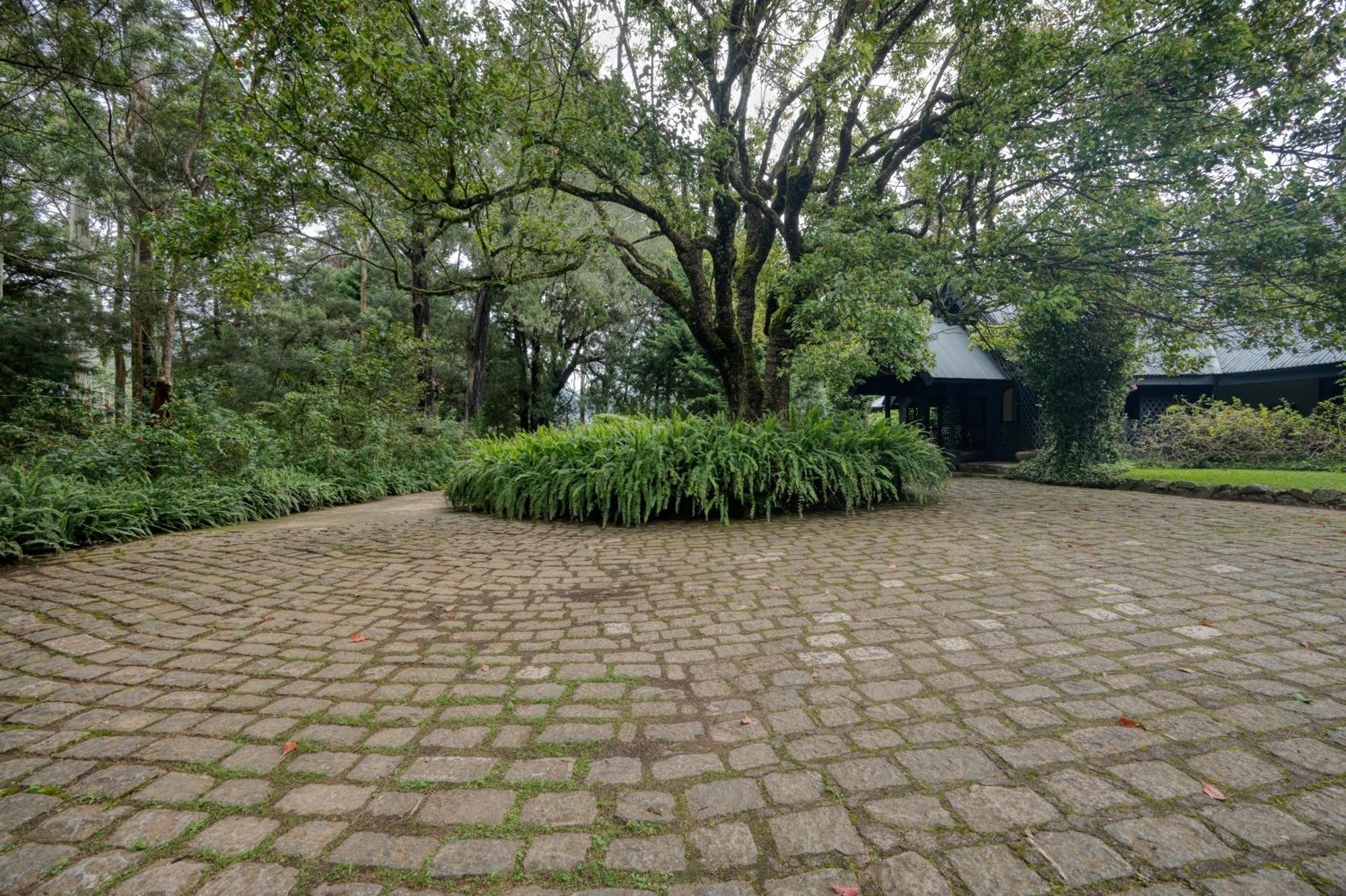 Ferncliff Bungalow Nuwara Eliya Exterior photo